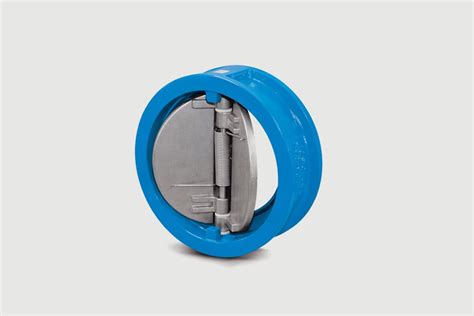 compression tester check valve|2 inch flapper check valve.